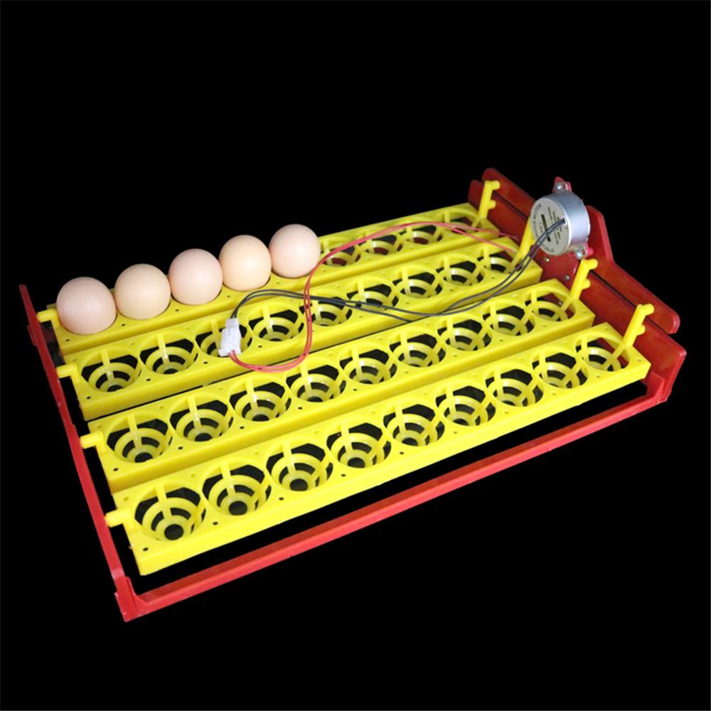 36 Eggs Poultry Incubator Turn Tray Duck Goose Pigeon Quail Birds Automatic Hatching Equipment Farm Animal Incubation Supplies